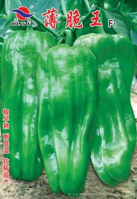 薄脆王