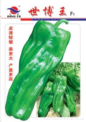 世博王