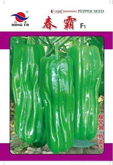 春霸