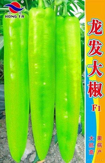 龙发大椒