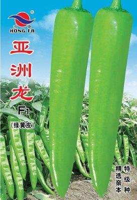 亚洲龙F1