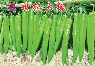 世纪大椒