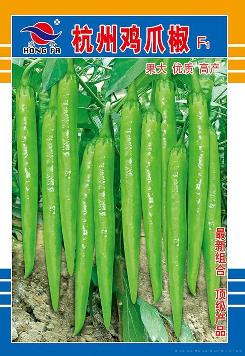 杭州鸡爪椒