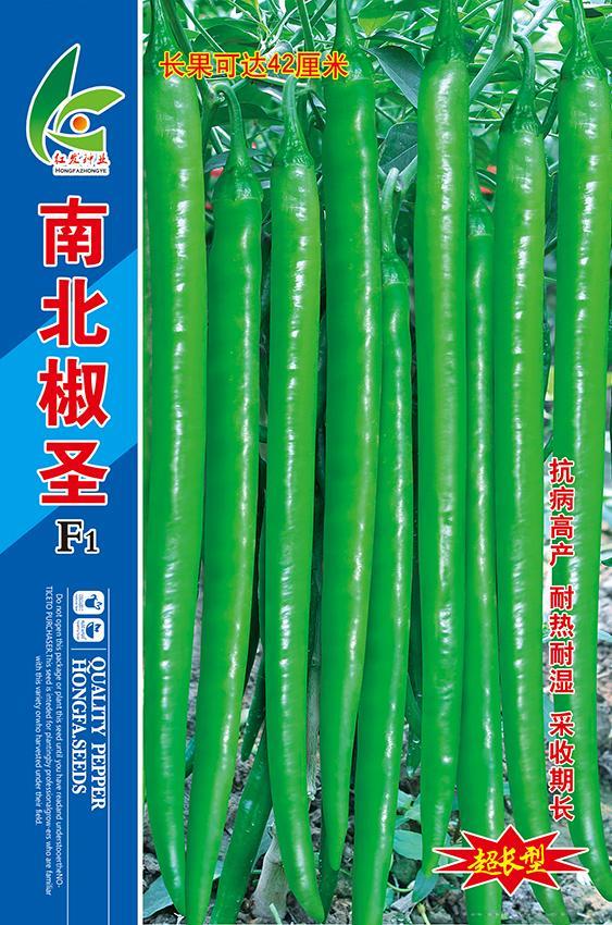 南北椒圣