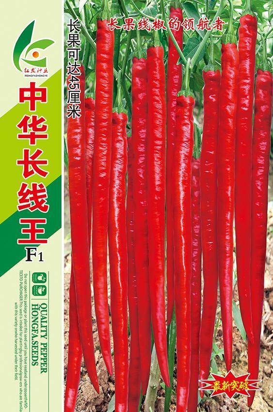 中华长线王