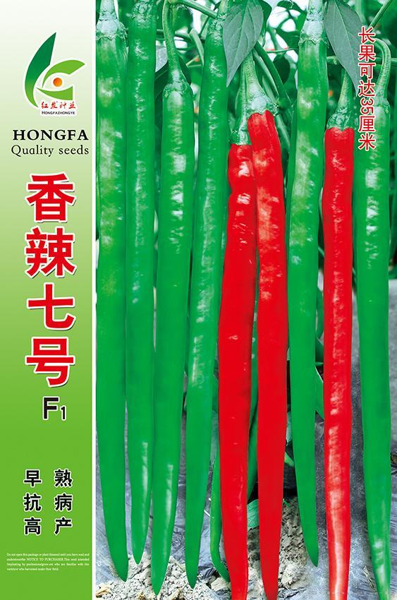 香辣七号