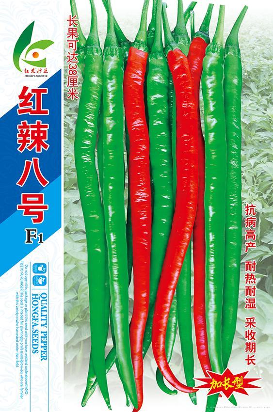 红辣八号