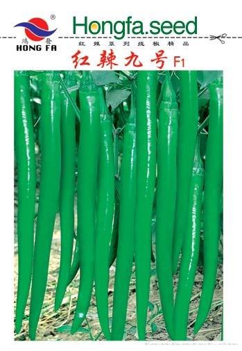 红辣九号F1