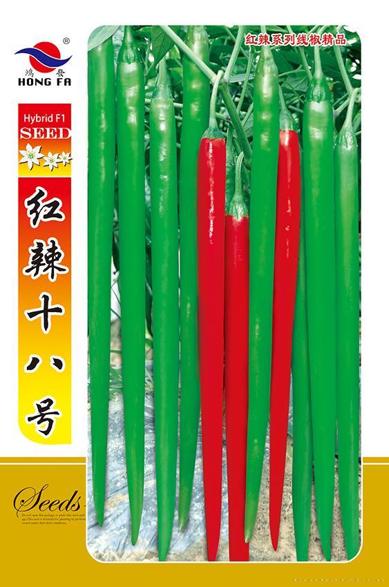 红辣十八号F1