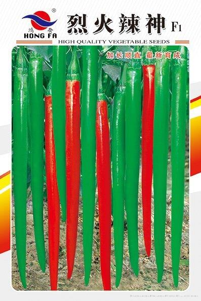 烈火辣神