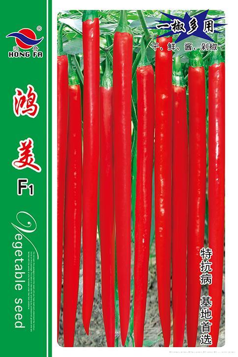 鸿美