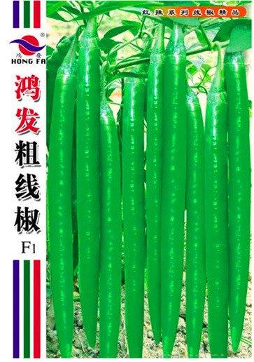 鸿发粗线椒