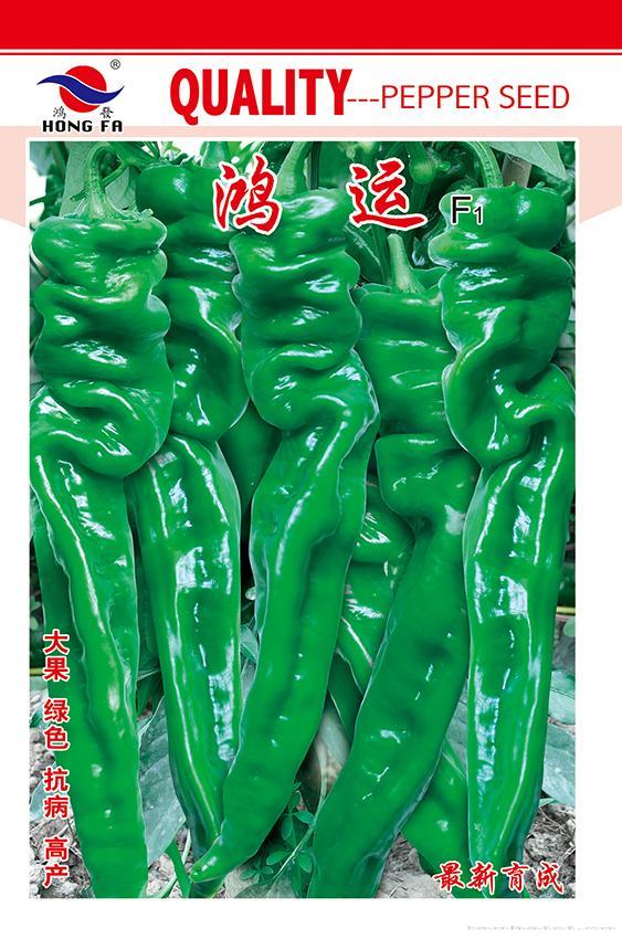 鸿运