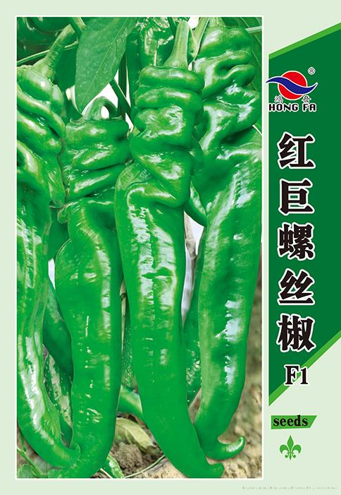 红巨螺丝椒