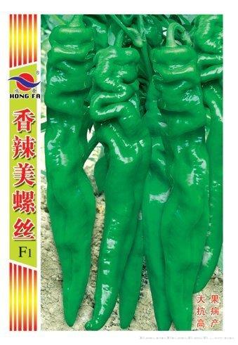 香辣美螺丝