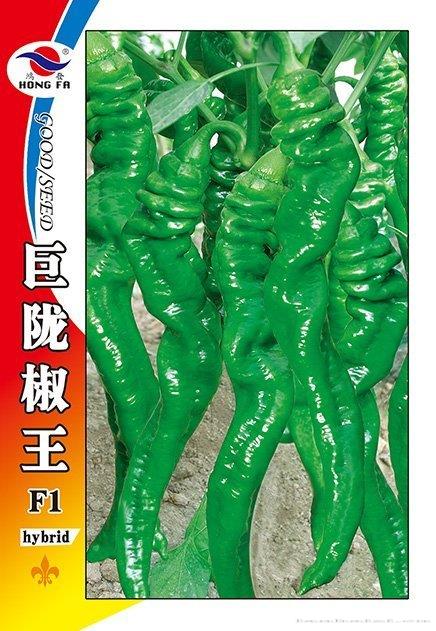 巨陇椒王