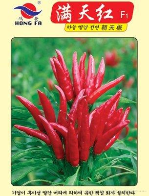满天红