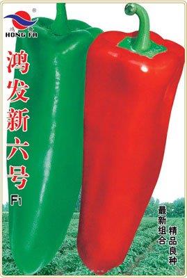 鸿发新六号