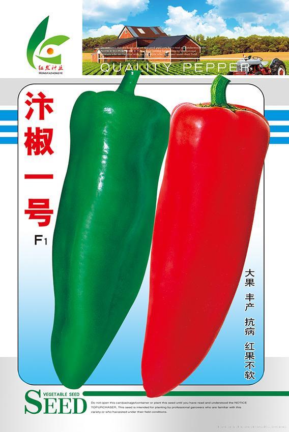 汴椒一号