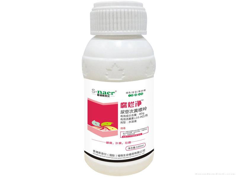 腐烂净