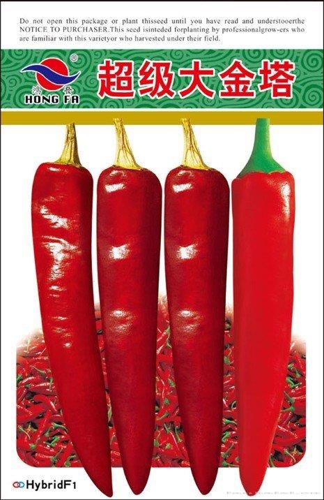超级大金塔
