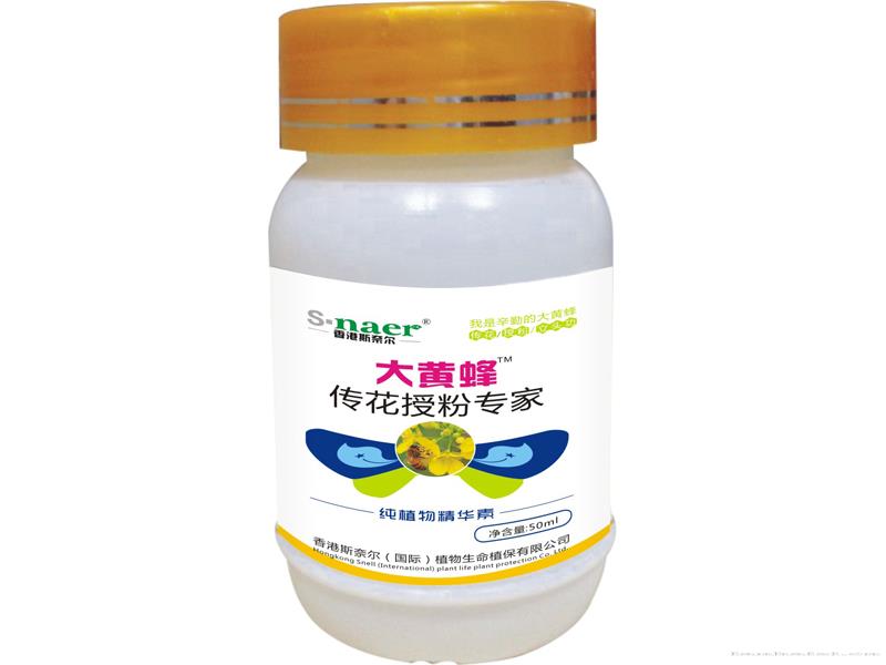 大黄蜂