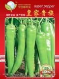 超级黄绿皮尖椒---皇家贵族
