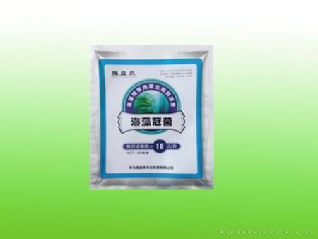 海藻冠菌