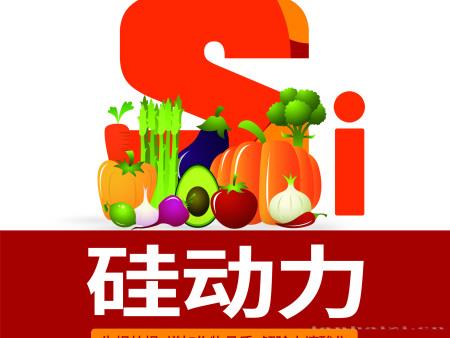 硅动力
