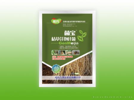 菌宝枯草芽孢杆菌