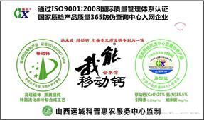 我能移动钙—带有电离子的钙