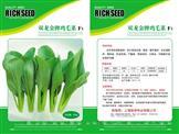 双龙鸡毛菜——青梗菜