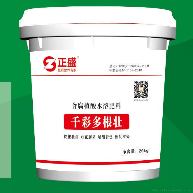 千彩多根壮