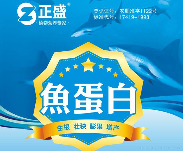 鱼蛋白