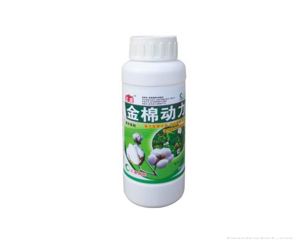 金棉动力