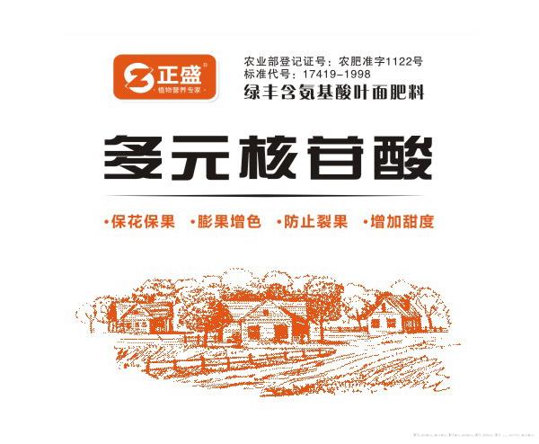 多元核苷酸