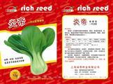 炎帝——青梗菜