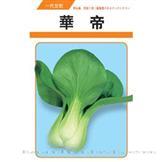 华帝——青梗菜