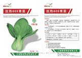 抗热605——青梗菜