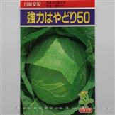 强力50——甘蓝