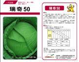 瑞奇50甘蓝——甘蓝