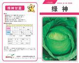 绿神甘蓝——甘蓝
