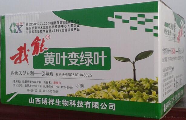 我能黄叶变绿叶500ml