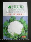 雪岭一号——白花菜