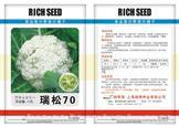 瑞松70（松花菜）——白花菜