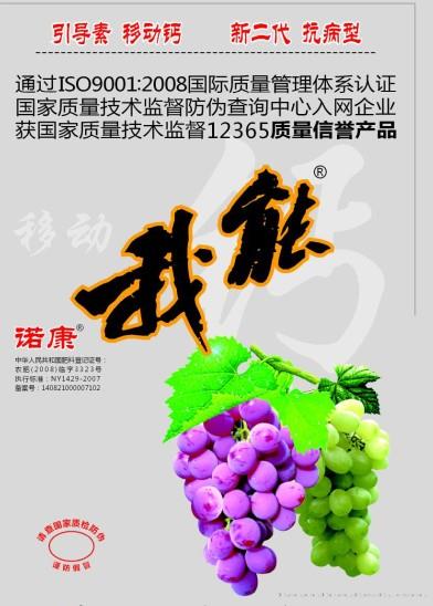 我能移动钙5公斤