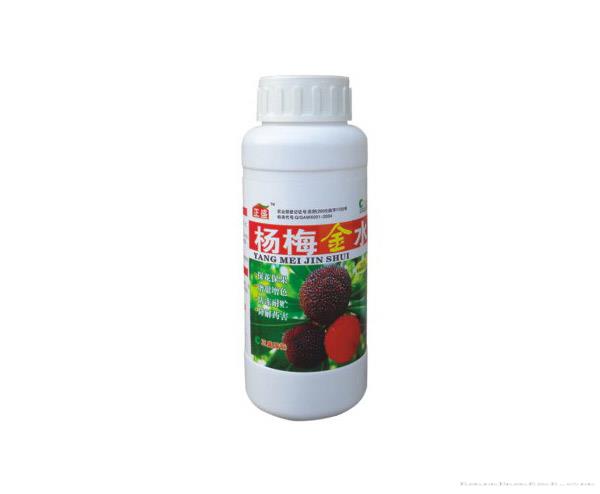 杨梅金水
