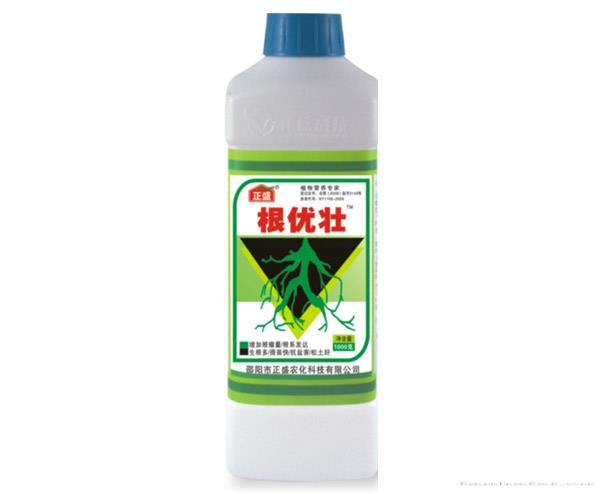 根优壮