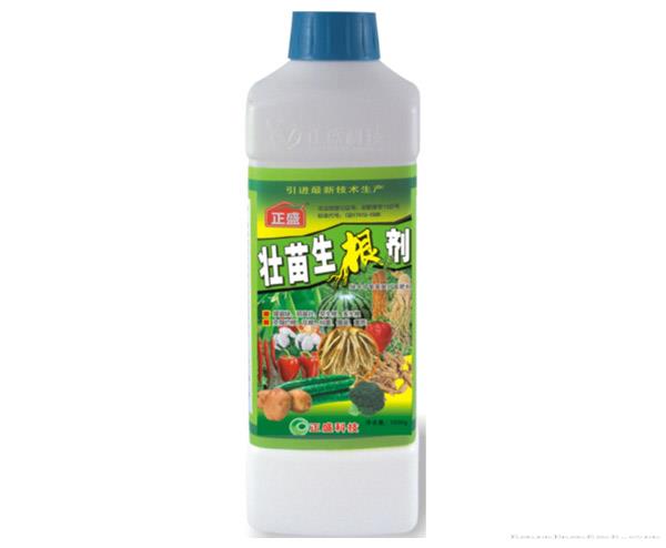壮苗生根剂