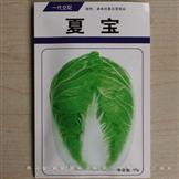 夏宝白菜——白菜